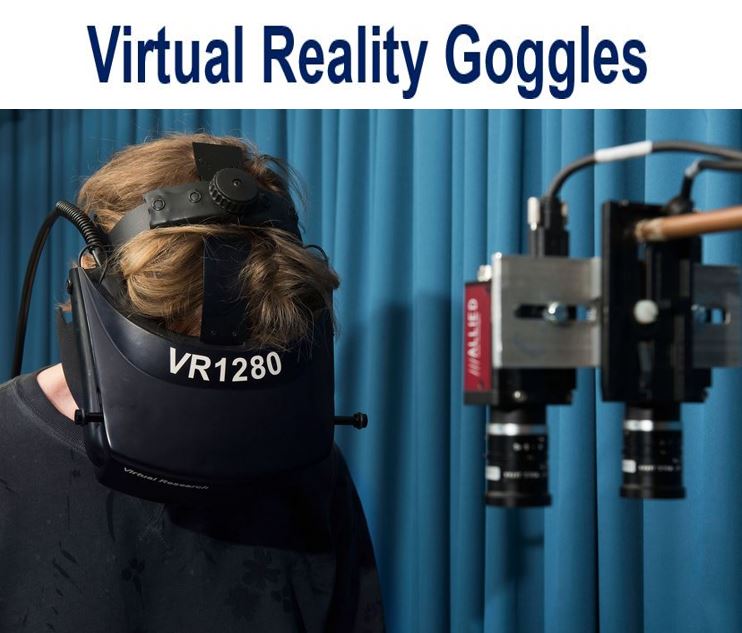 Virtual reality goggles