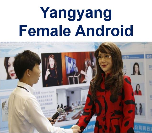 Yangyang Female Android