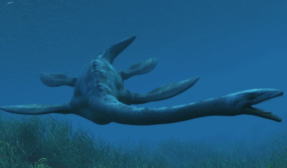 Elasmosaurus