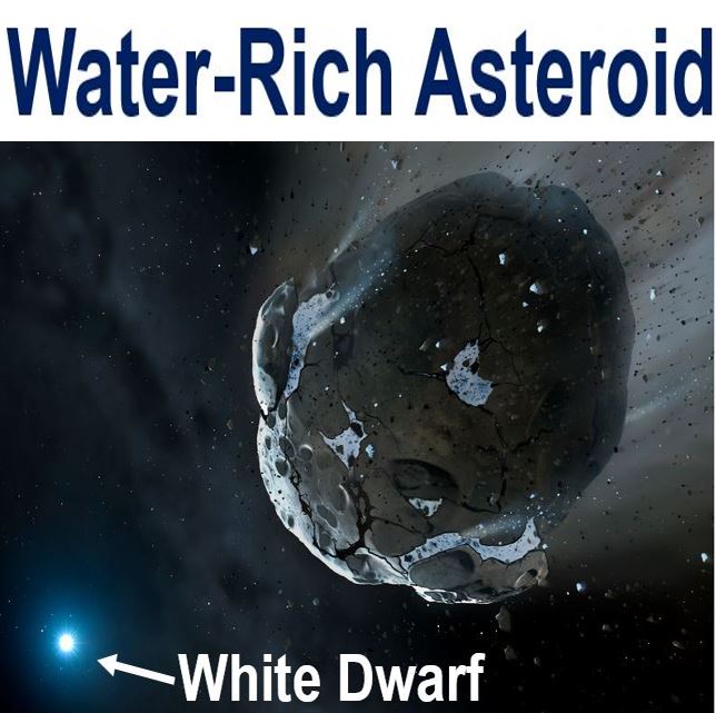 Asteroid with water