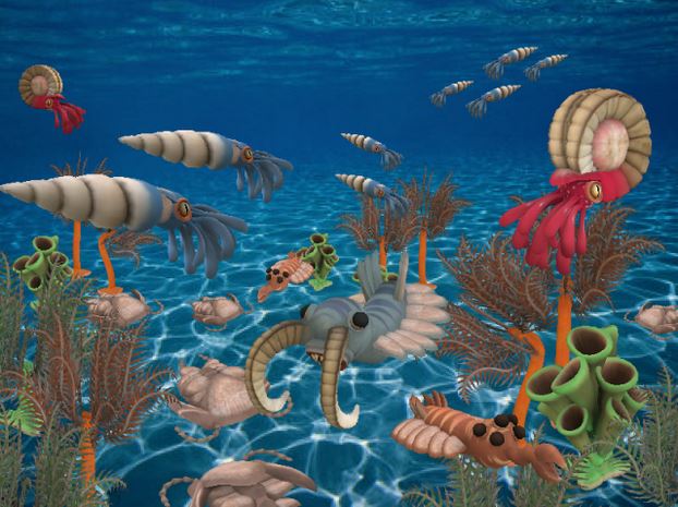 Cambrian Explosion