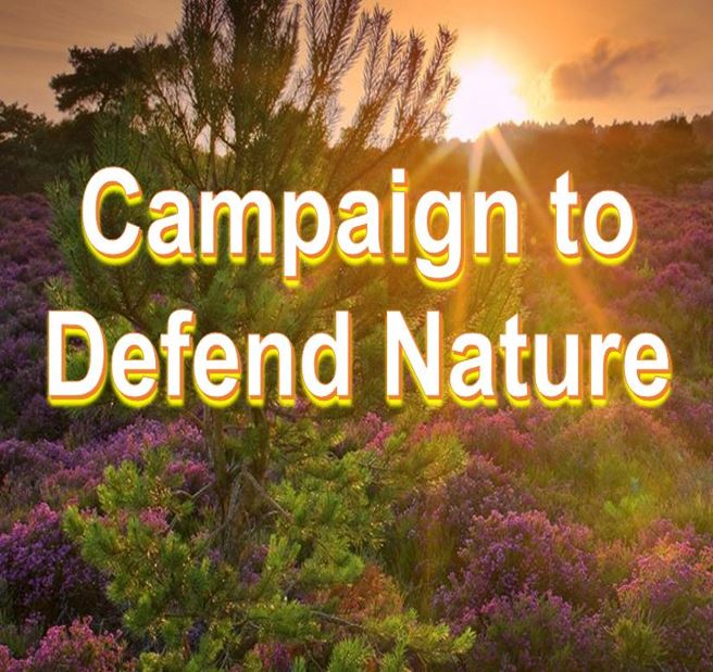 Campaign to defend nature RSPB