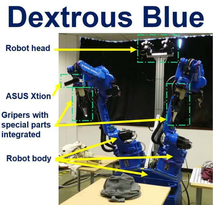 Dextrous Blue