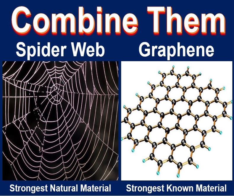 Graphene spider web