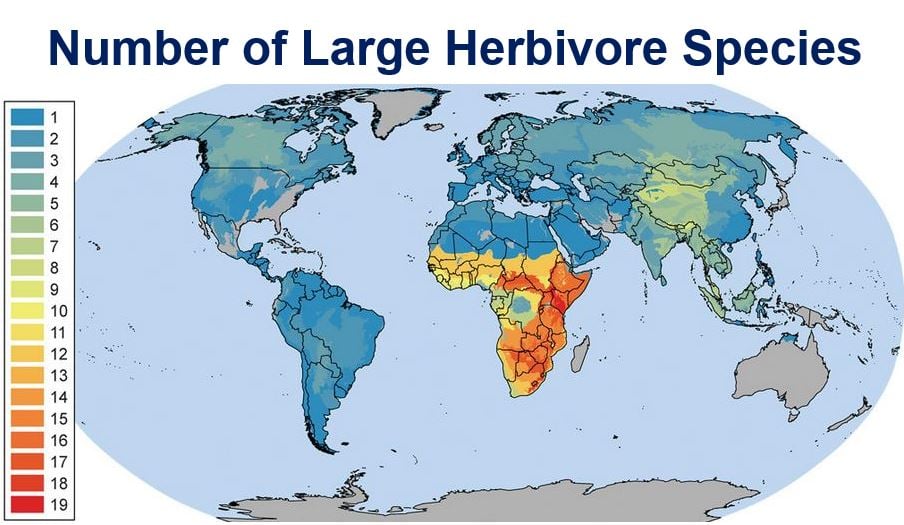 Number of large herbivore species