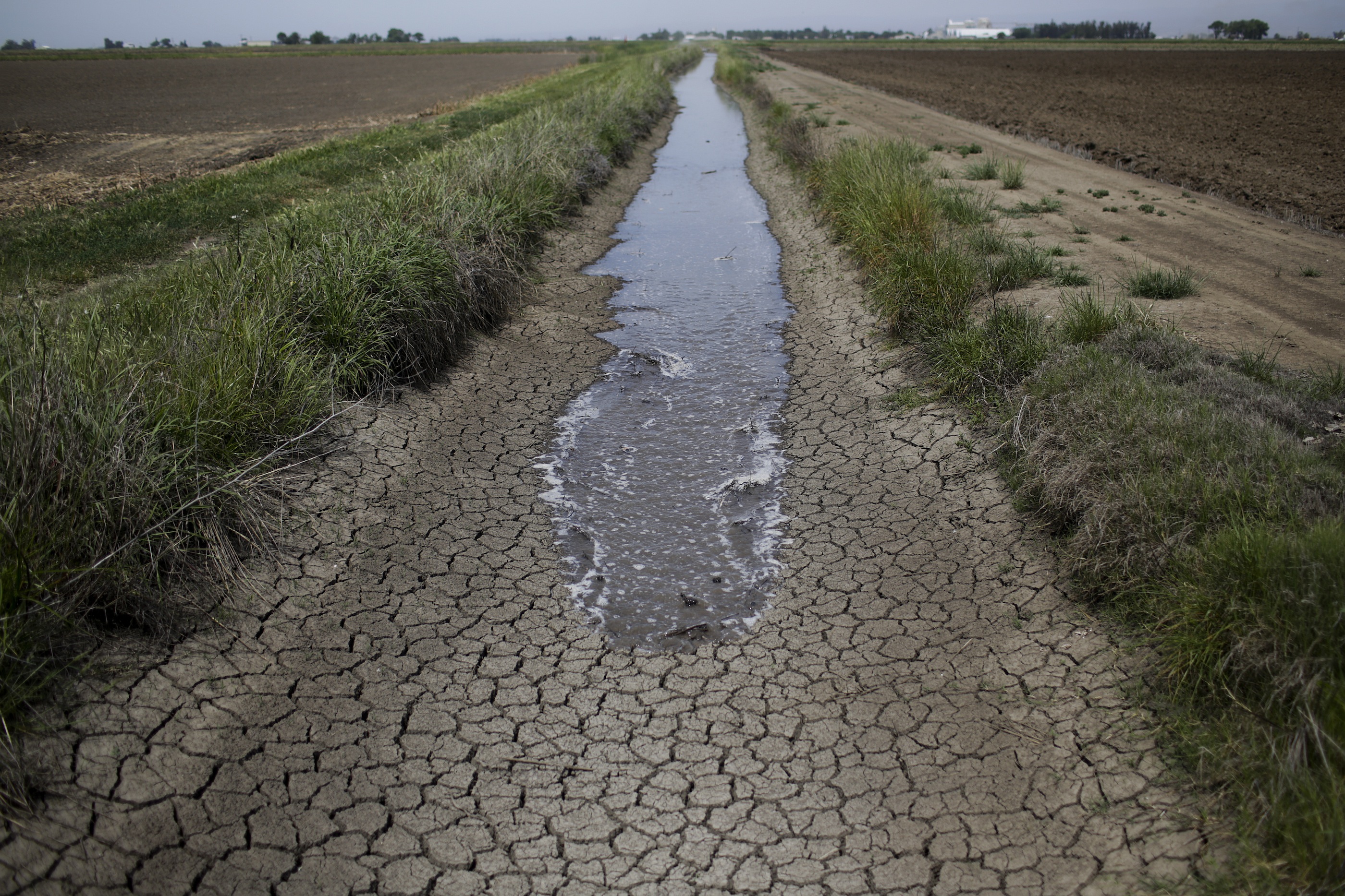 California Drought