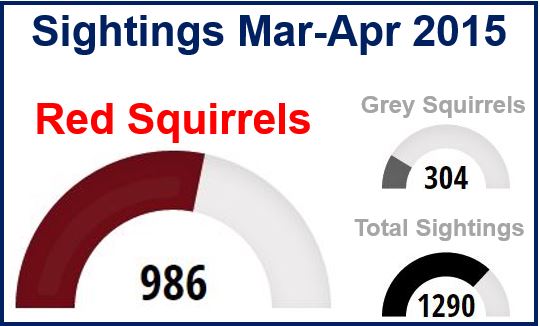 squirrel sightings