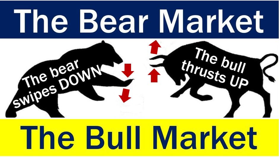 Bear Market - Bull Market