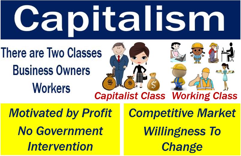 free market capitalism definition economics