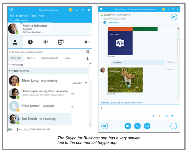 Skype for Business app