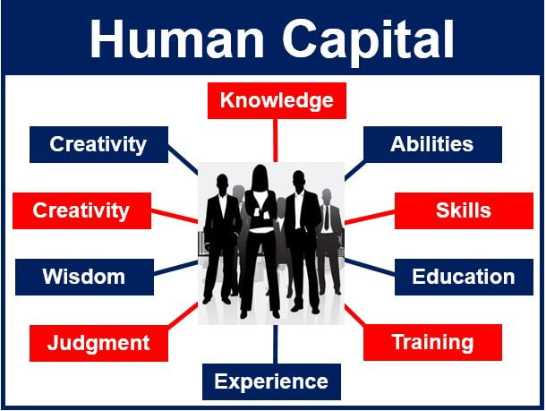 What is human capital? Definition and meaning - Market Business News