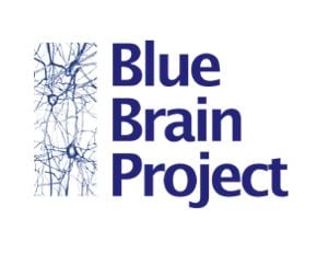 Blue Brain project