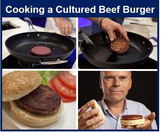 Cooking a lab grown beef burger
