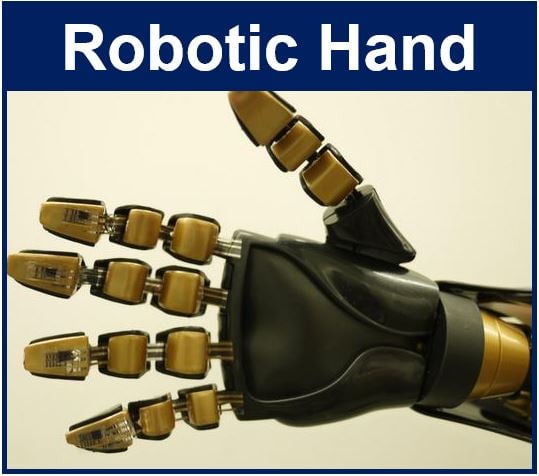 Robotic Hand