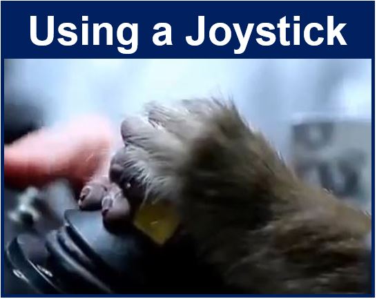 Using a joystick