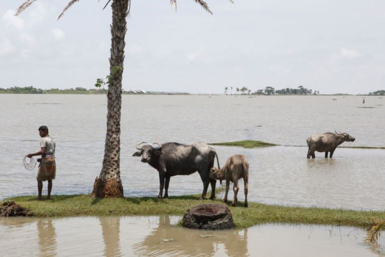 Bangladesh and climate change