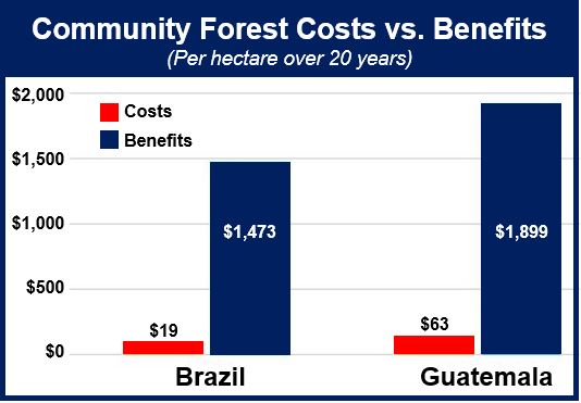 Costs vs benefits forests