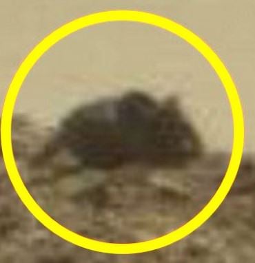 Huge mouse on Mars