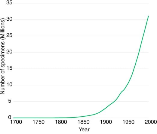 Number of plant species over time