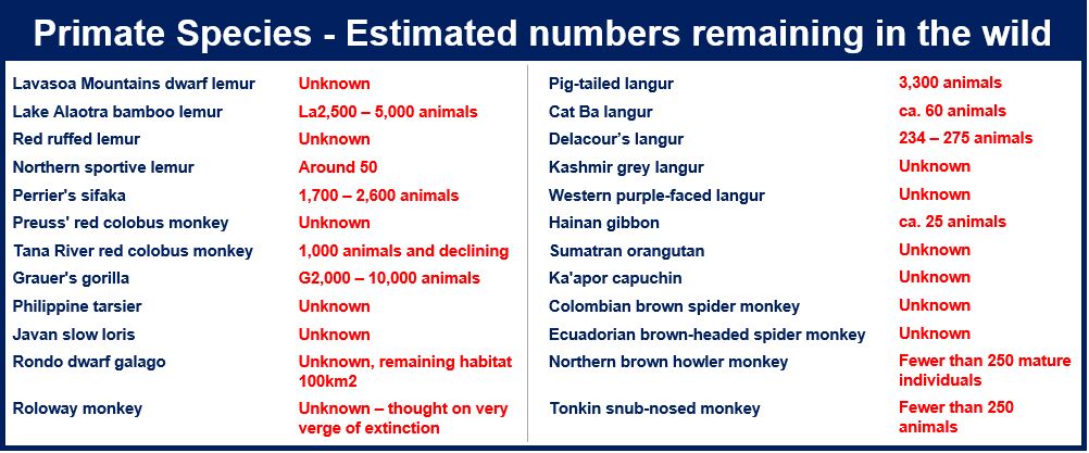 Primate species under threat of extinction