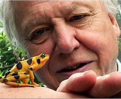 Sir David Attenborough approaching 90