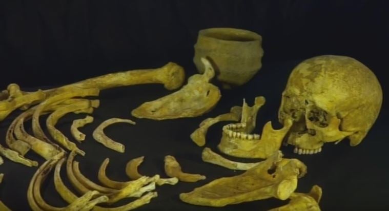 Ancient Irish bones from the Bronze Age