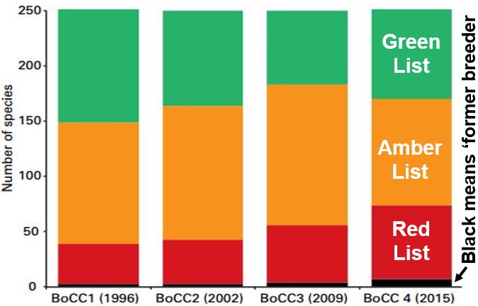 British bird species under threat