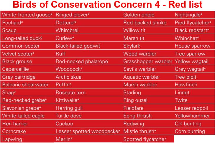 British birds on Red List