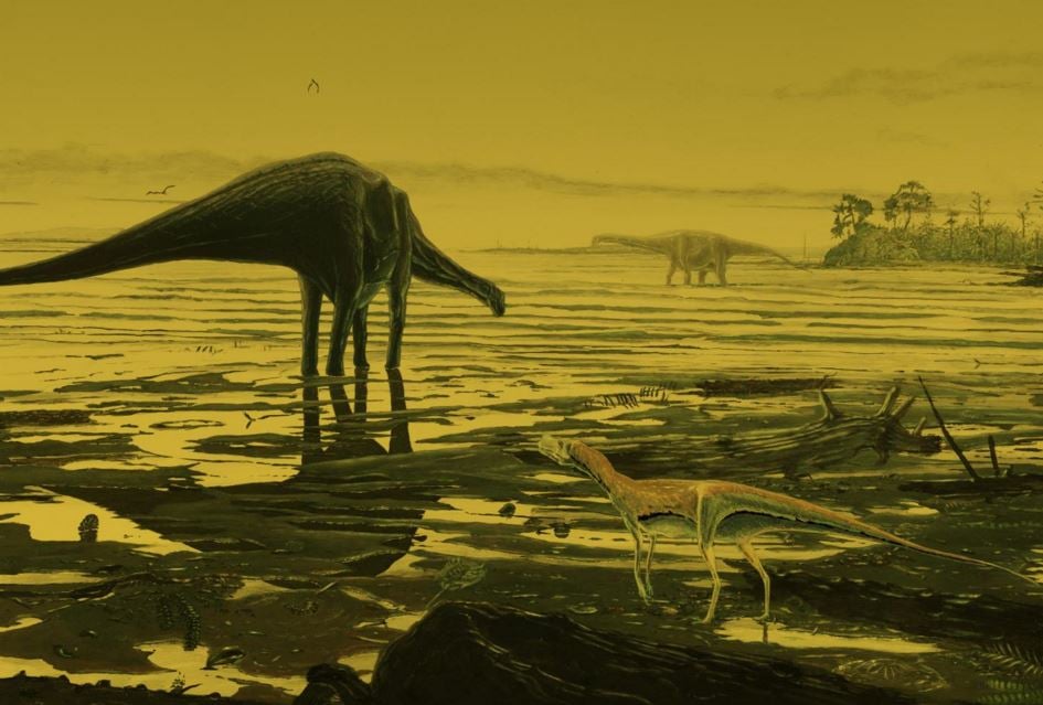 Sauropods Dinosaur footprints discovered in Isle of Skye