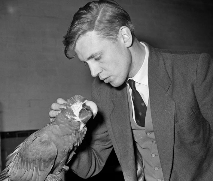 Sir David Attenborough 1960s