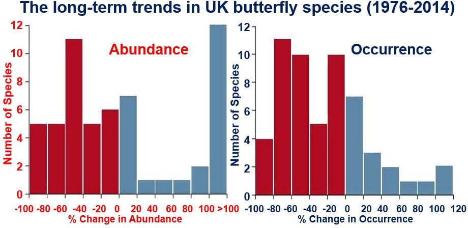 UK butterfly populations