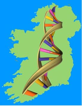 Where the genes of Irish people come from