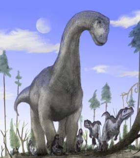 sauropod walking dinosaur footprints found