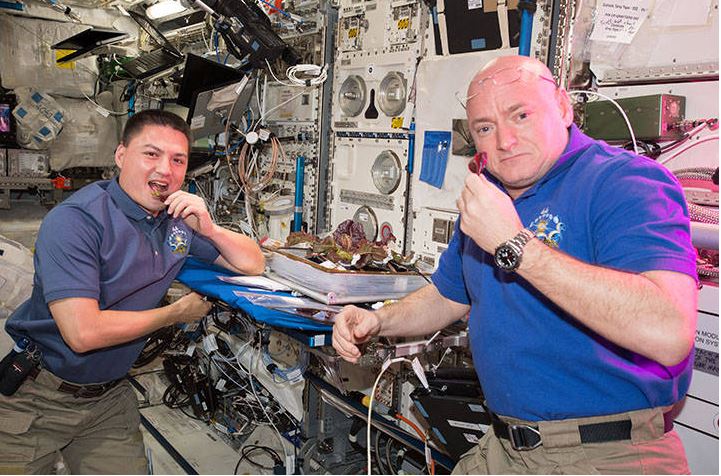 Astronauts eating food grown in space