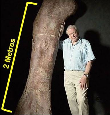 Attenborough and the Giant Dinosaur BBC 1 programme