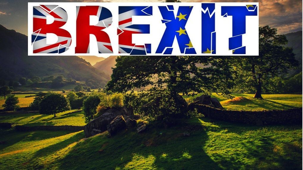 Brexit and the environment consequence