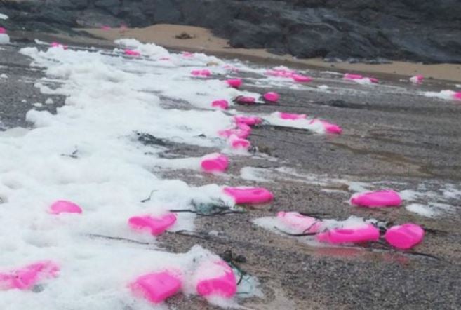 Bright pink plastic bottles on beach in Cornwall