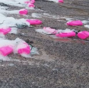 Bright pink plastic bottles washed up on beaches of Cornwall