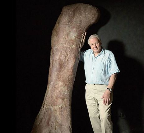 David Attenborough with dinosaur thigh bone