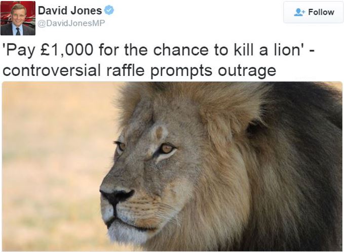 David Jone MP tweets about the lion hunt raffle