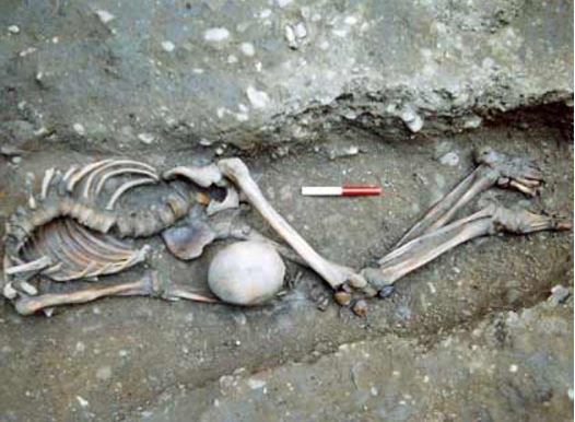 Decapitated Roman age skeleton buried with head