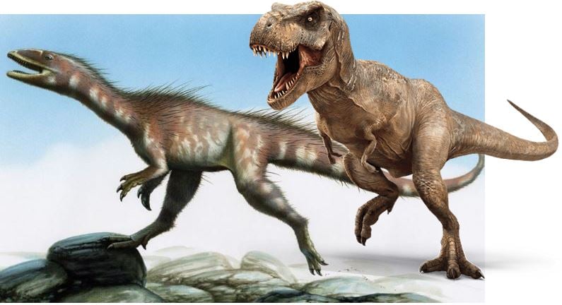 Dracoraptor Dragon Thief and T Rex