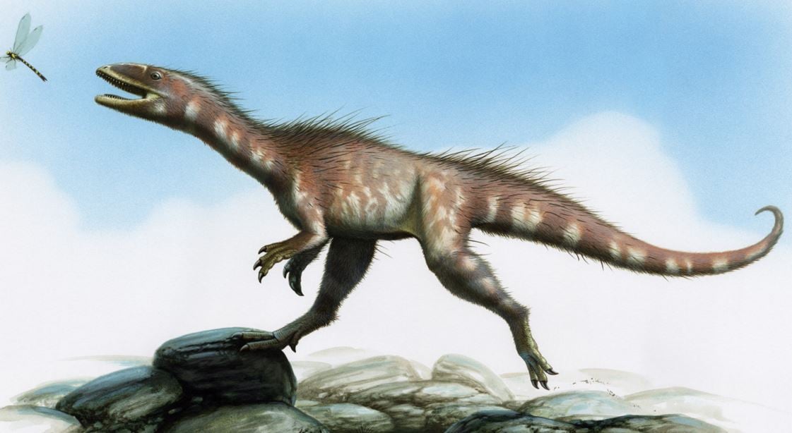 Dracoraptor the Dragon Thief dinosaur found in Wales