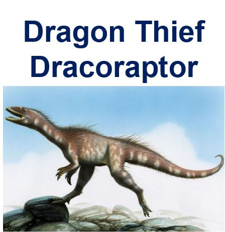 Dragon thief dracoraptor discovered in Wales