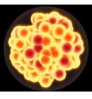 Element 117 added to periodic table