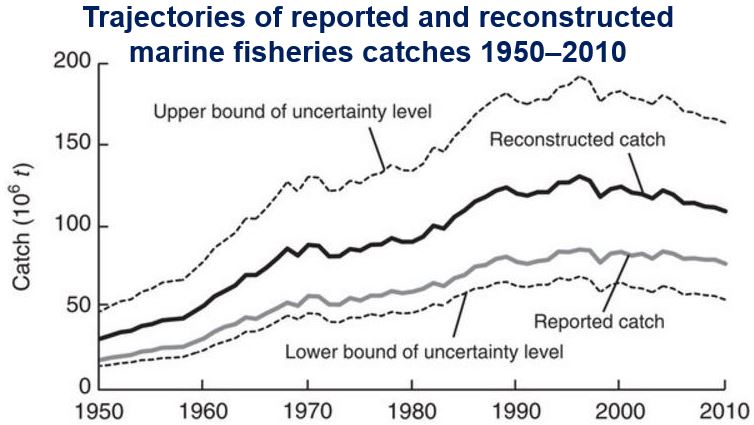 Fisheries catches 1950 to 2010