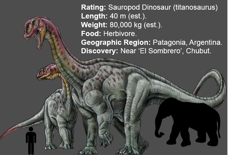 Giant Sauropod Dinosaur