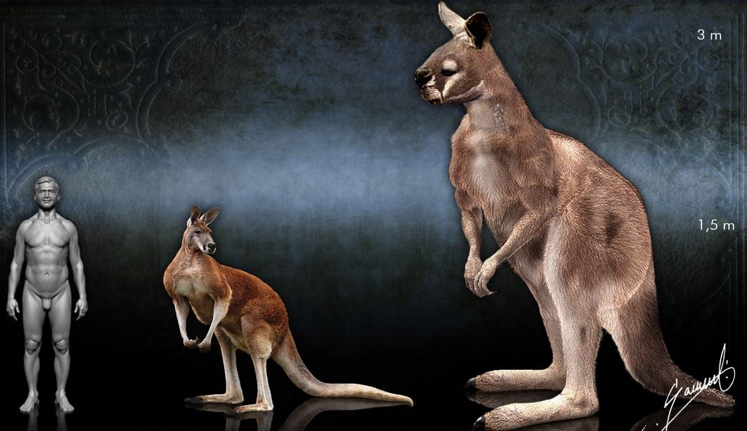 Giant prehistoric kangaroo