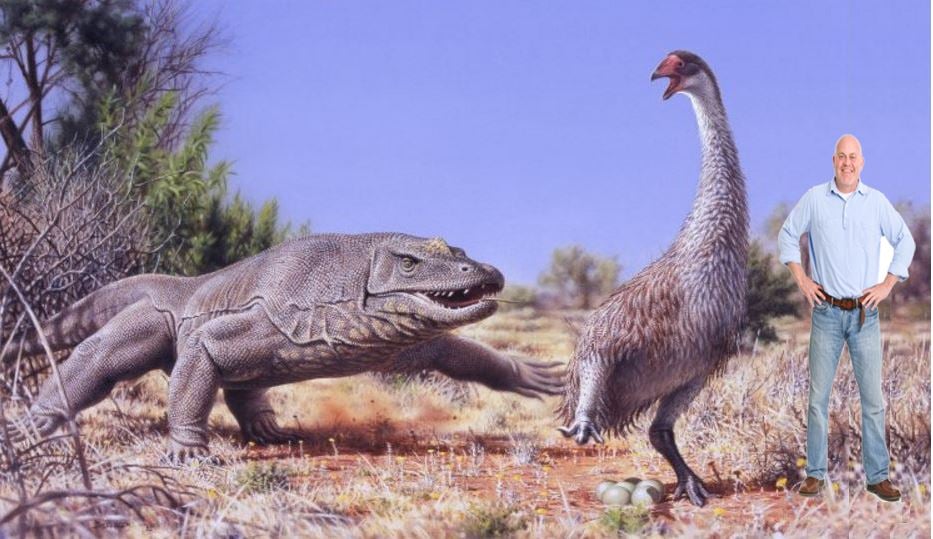 Large prehistoric flightless bird genyornis in Australia
