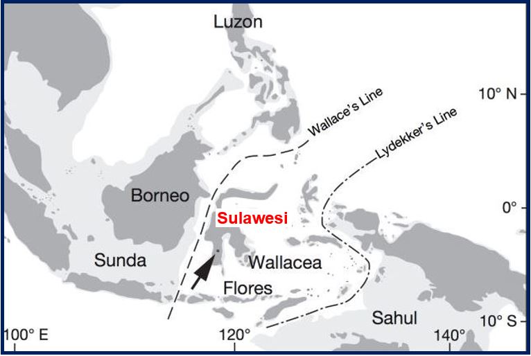 Map showing the island of Sulawesi in Indonesia